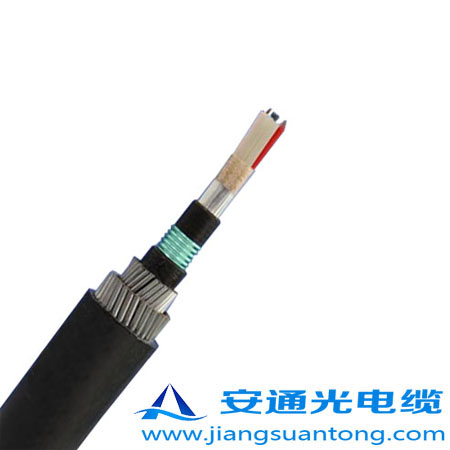 GYTA53-333|,OPPC|SADSS|r(ji)24оOPGW|