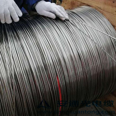 4.0mm ͚⾮Âй|,OPPC|SADSS|r24оOPGW|